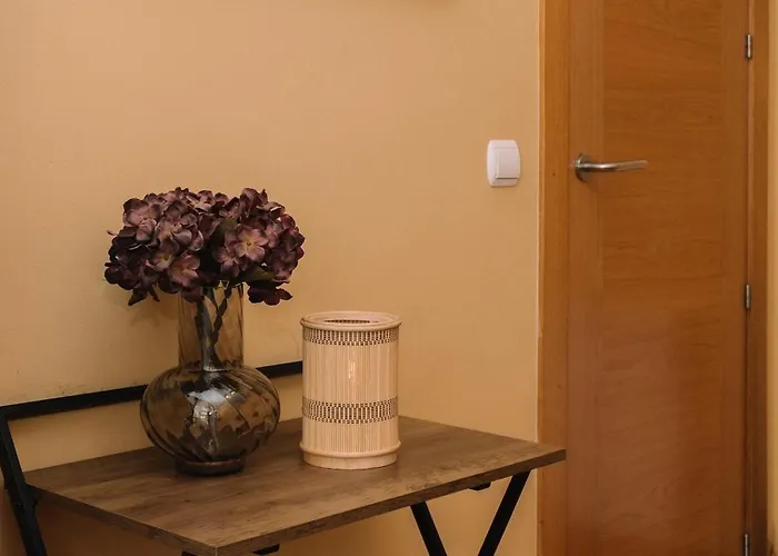 Comodo Luminoso Y Centrico By 公寓 *